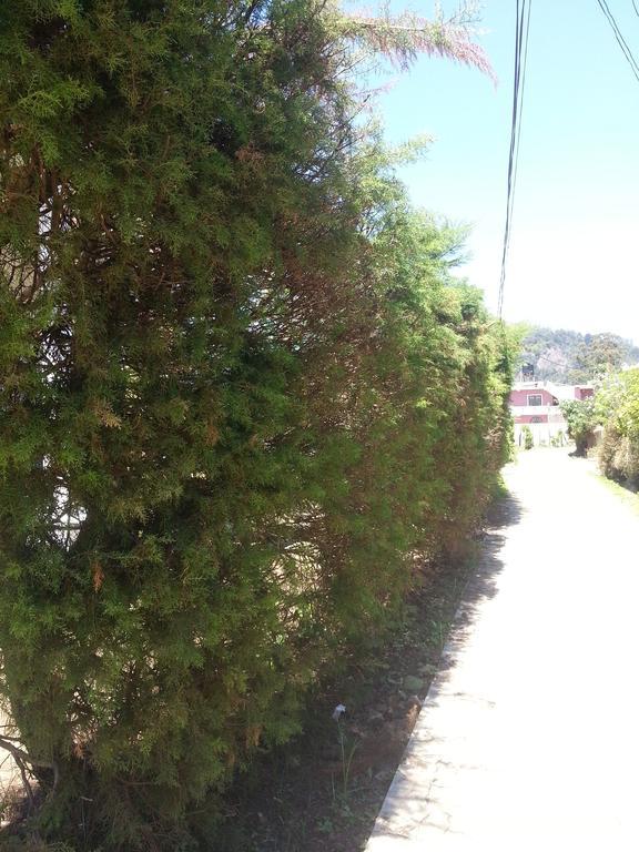 Winkfield Hostel Nuwara Eliya Exterior photo